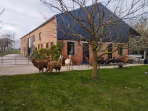 DE SMISHOEVE met kinderpret, dieren en wellness